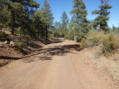 GDMBR: This is probably Continental Divide Crossing #19 of the Great Divide Mountain Bike Route (GDMBR).